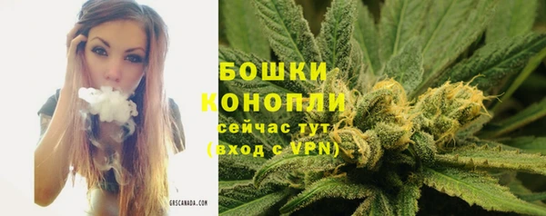 первитин Лиски